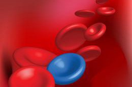 Krew w moczu - krwiomocz a krwinkomocz 