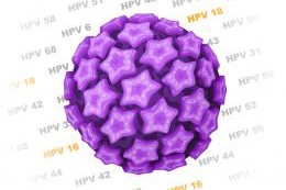 Brodawczak ludzki - wirus HPV 