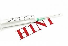 Świńska grypa wirus AH1N1 - objawy, profilaktyka, leczenie  