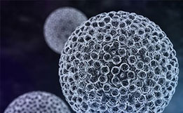 HPV, wirus brodawczaka ludzkiego