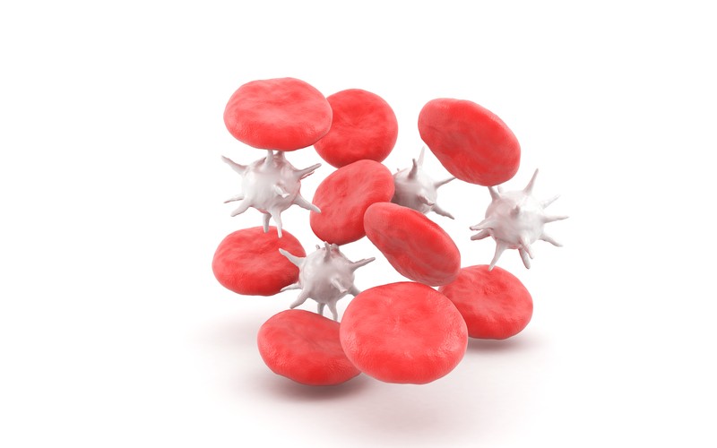 Choroby autoimmunologiczne