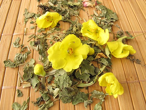 Dziewanna