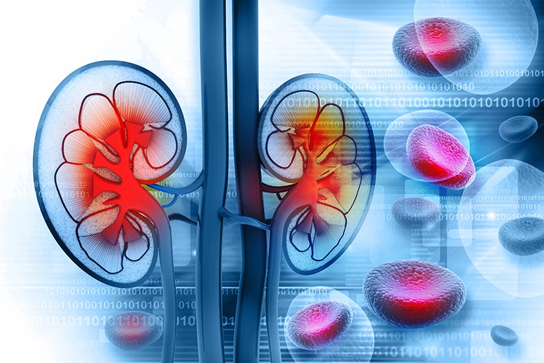 Usługi medyczne - diagnostyczne Warszawa