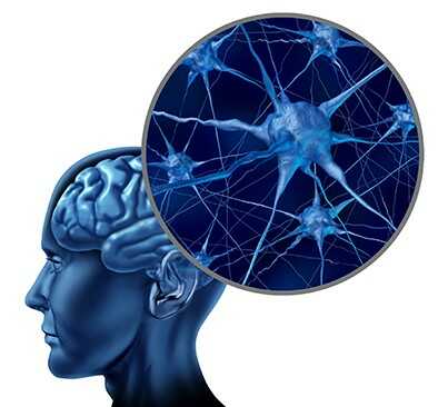 Epileptolog