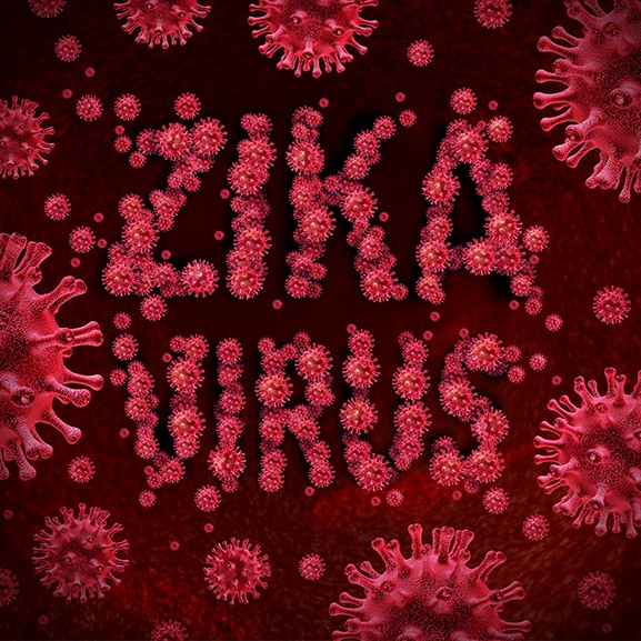 Zika wirus